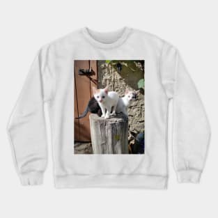 Three siblings Crewneck Sweatshirt